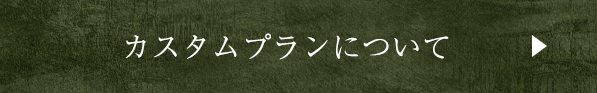 カスタムプランについて